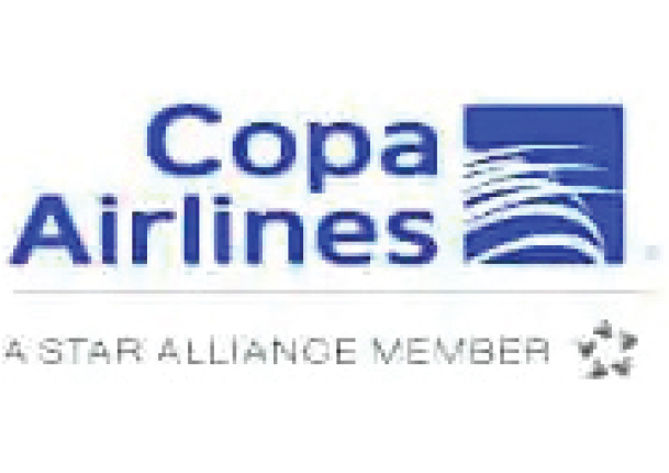 Platinum Sponsors Logo